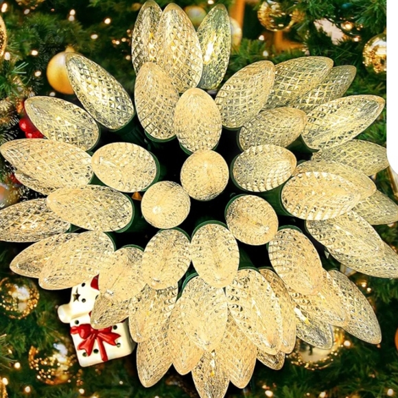 100ft Holiday LED String Lights - Picture 1 of 4